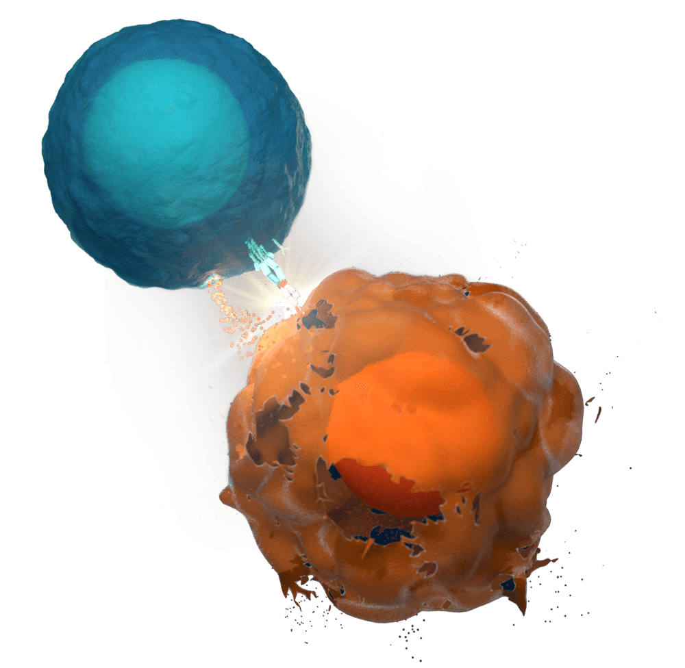3D render illustration of a T cell attacking a cancer cell