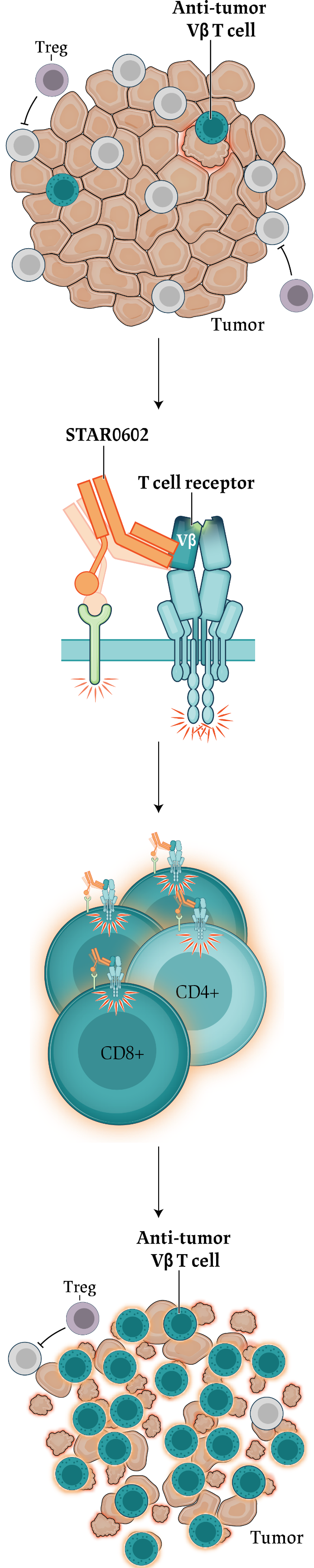 Scientific illustration of START0602 mechanism of action