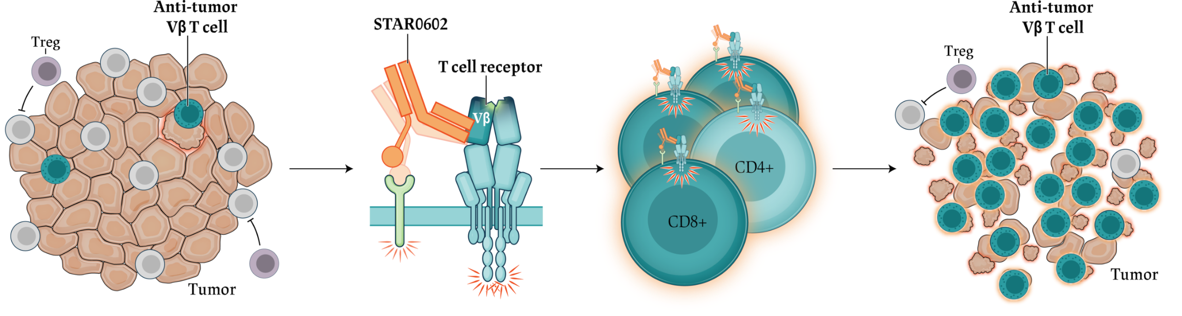 Scientific illustration of START0602 mechanism of action