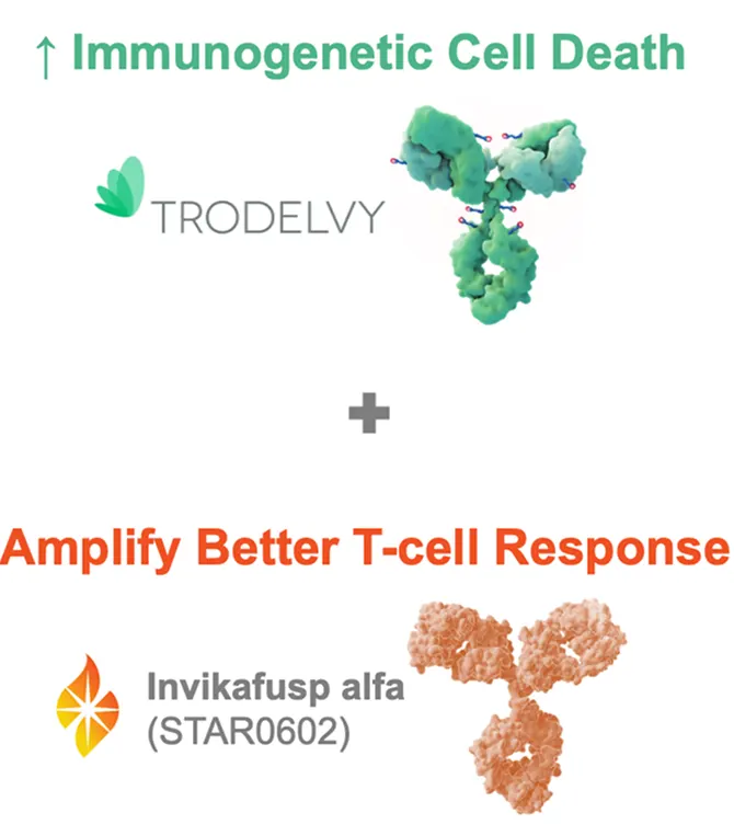 Scientific illustration of TRODELVY promoting increase in immunogenetic cell death and Invikafusp alfa (STAR0602) amplifying a better T-cell response